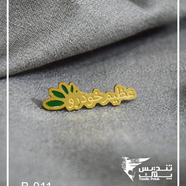 بج سینه کد 011