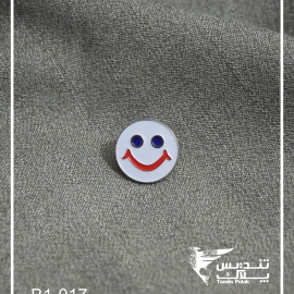 b1-017 b1-017