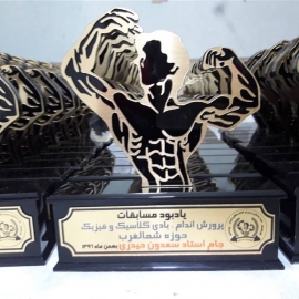 تندیس پرورش اندام