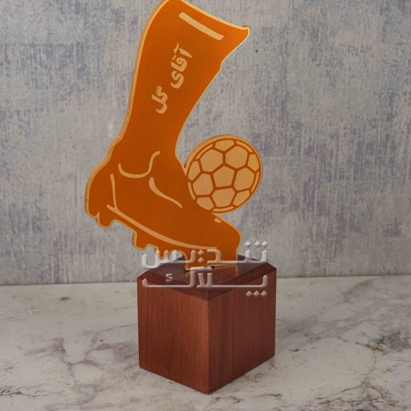تندیس فلزی آقای گل کد 006